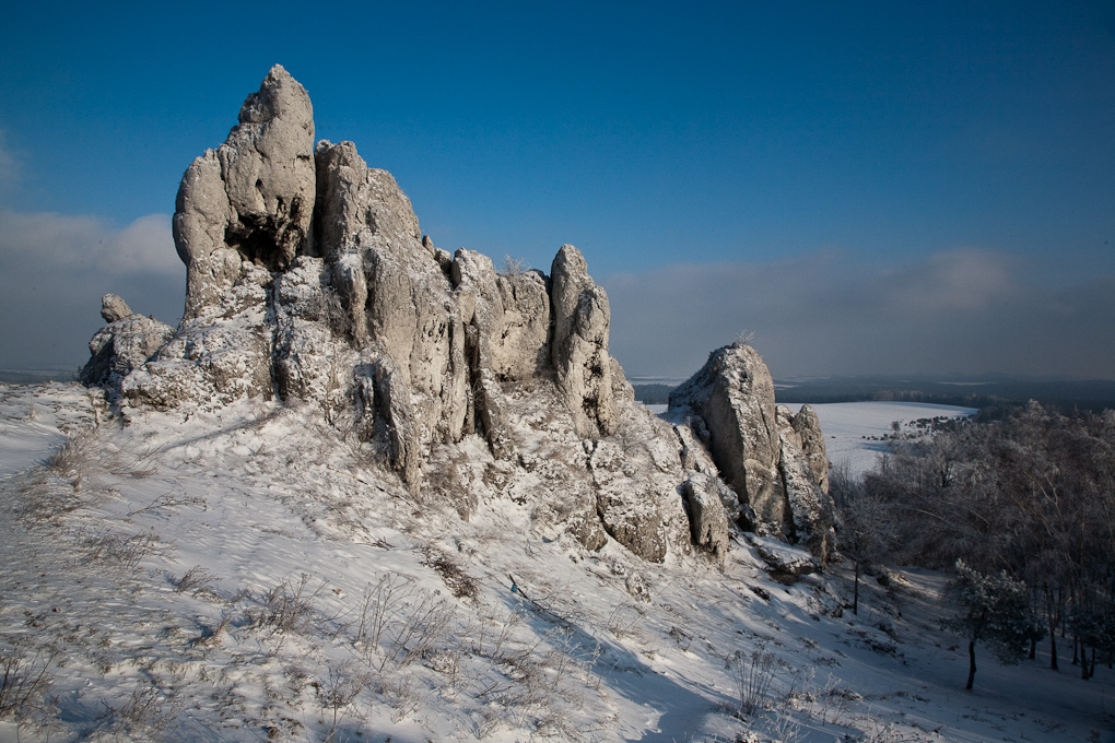 Ogrodzieniec